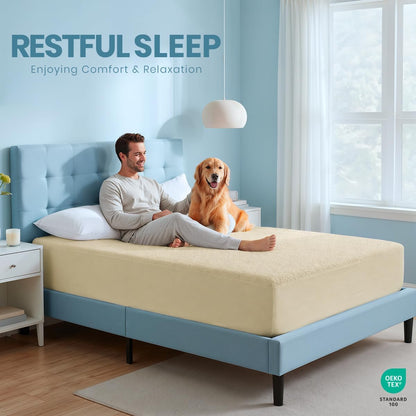 Queen Size Mattress Protector Waterproof, Premium 200 GSM Terry Mattress Cover, Soft & Breathable Bed Cover, Fitted Sheet Style Stretchable Deep Pockets 17" by Utopia Bedding (White)