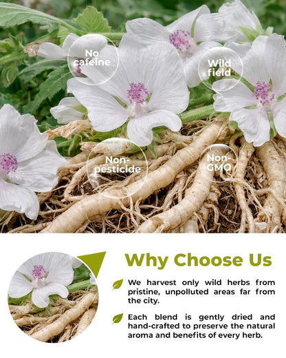 50 Bags Dried Marshmallow Root Tea Marshmallow Root Herb Herbal Tea (Althaea Officinalis) - 50 Count Bags Cut Sifted Herb Raíz De Malvavisco