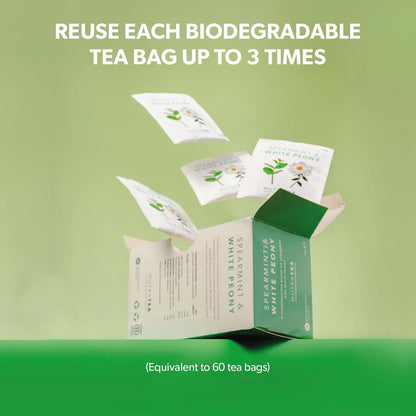Nutra Tea - Spearmint & White Peony – Spearmint Tea, PCOS Tea - For Digestion, Women's Health & Acne - 20 Individually Wrapped Bags - Herbal Infusion (1 Pack)