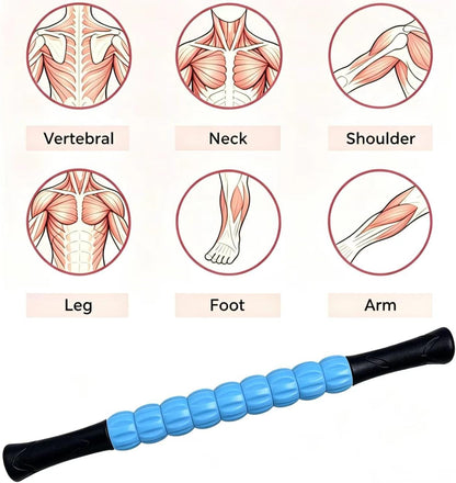 Muscle Roller Stick - A Full-Body Massage Roller that Can Relieve Muscle Soreness, Cramps and Tension After Exercise. It is a Handheld Physical Therapy and Recovery Tool（Black and Purple）