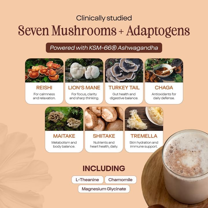 Pella Nutrition Instant Mushroom Spiced Chai Latte for Relaxation - 20 Cups
