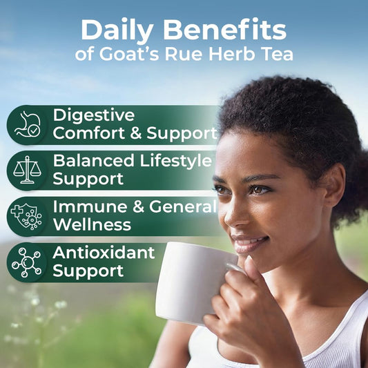 20 Bags Goat's Rue Tea Goats Rue Herb (Galega Officinalis L.) - 20 Count 1.5g Tea Bags French Lilac Ruda De Cabra