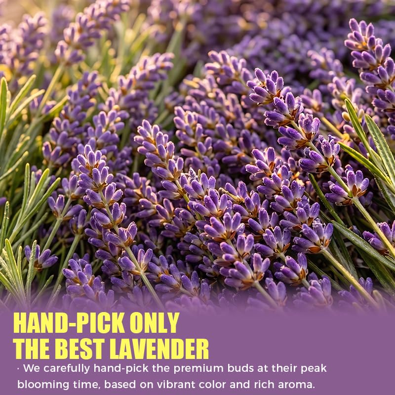 Lavender Tea Bags, 40 Count, 2.82 oz (80g), Corn Fiber Pyramid Sachets