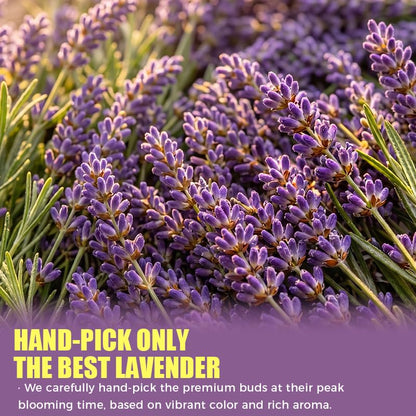 Lavender Tea Bags, 40 Count, 2.82 oz (80g), Corn Fiber Pyramid Sachets