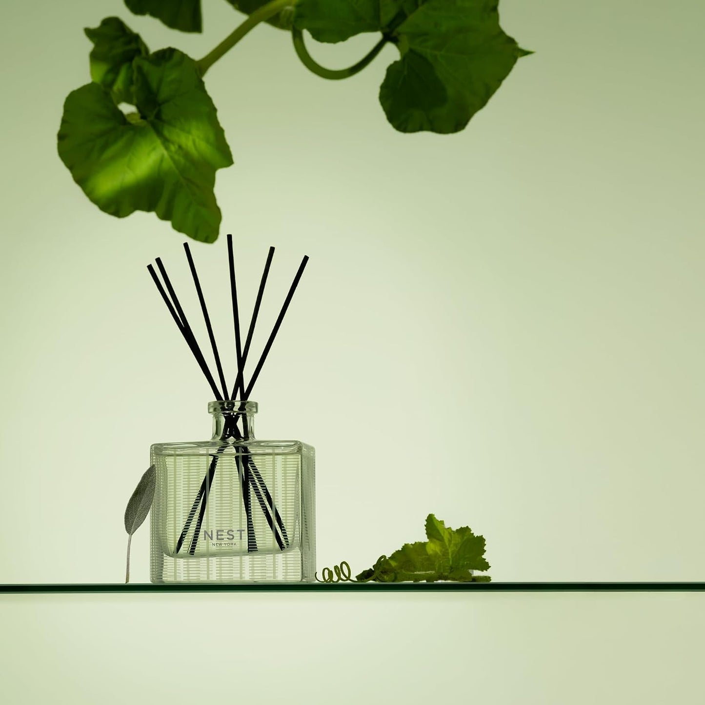 NEST New York Reed Diffuser, Wild Mint & Eucalyptus - 5.9 fl oz - Fragrance for Up to 90 Days - Reusable, Refillable Glass Holder - Includes 8 All-Natural Reed Sticks - Flame Free