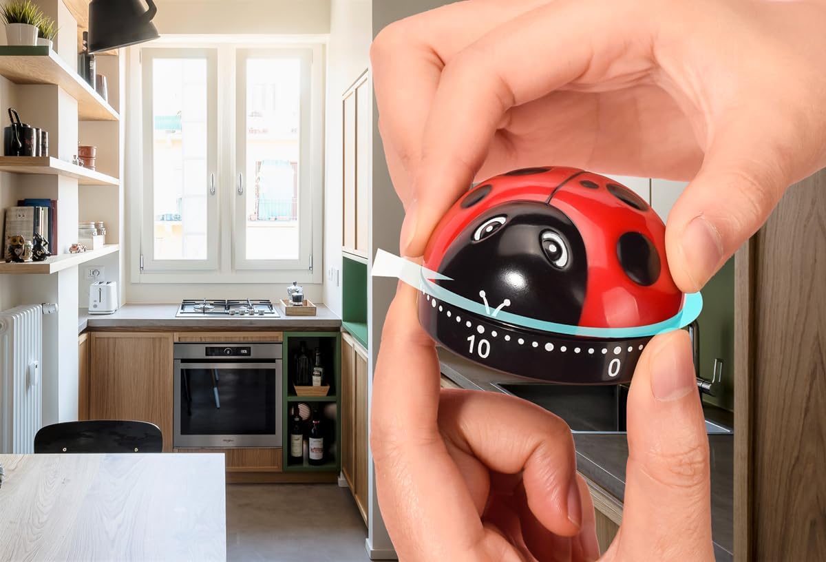 Cute Ladybug Shape Mechanical Timer Wind-Up 60 Minutes Manual Rotating Countdown Timers for Oven,Cooking,Restroom,Classroom,Exercise,Bathroom,etc...