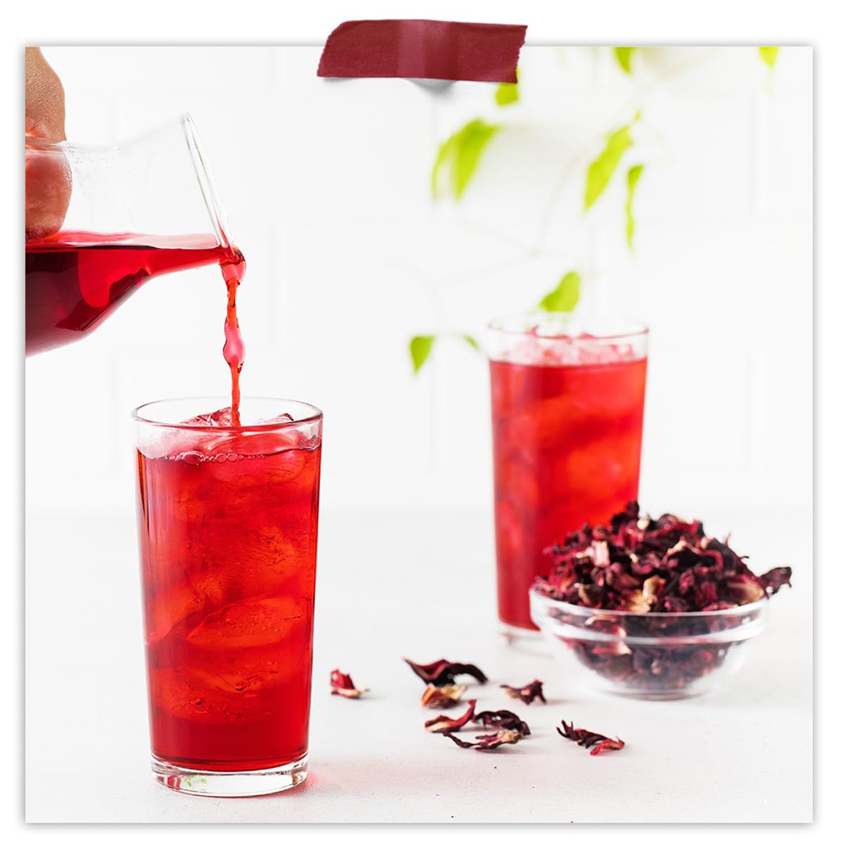 Fermentaholics Organic Hibiscus Tea Loose Leaf Herbal and Tisanes – USDA Organic & OU Kosher, Premium Tea Leaves for Hot or Iced Tea, Kombucha Brewing and Flavoring