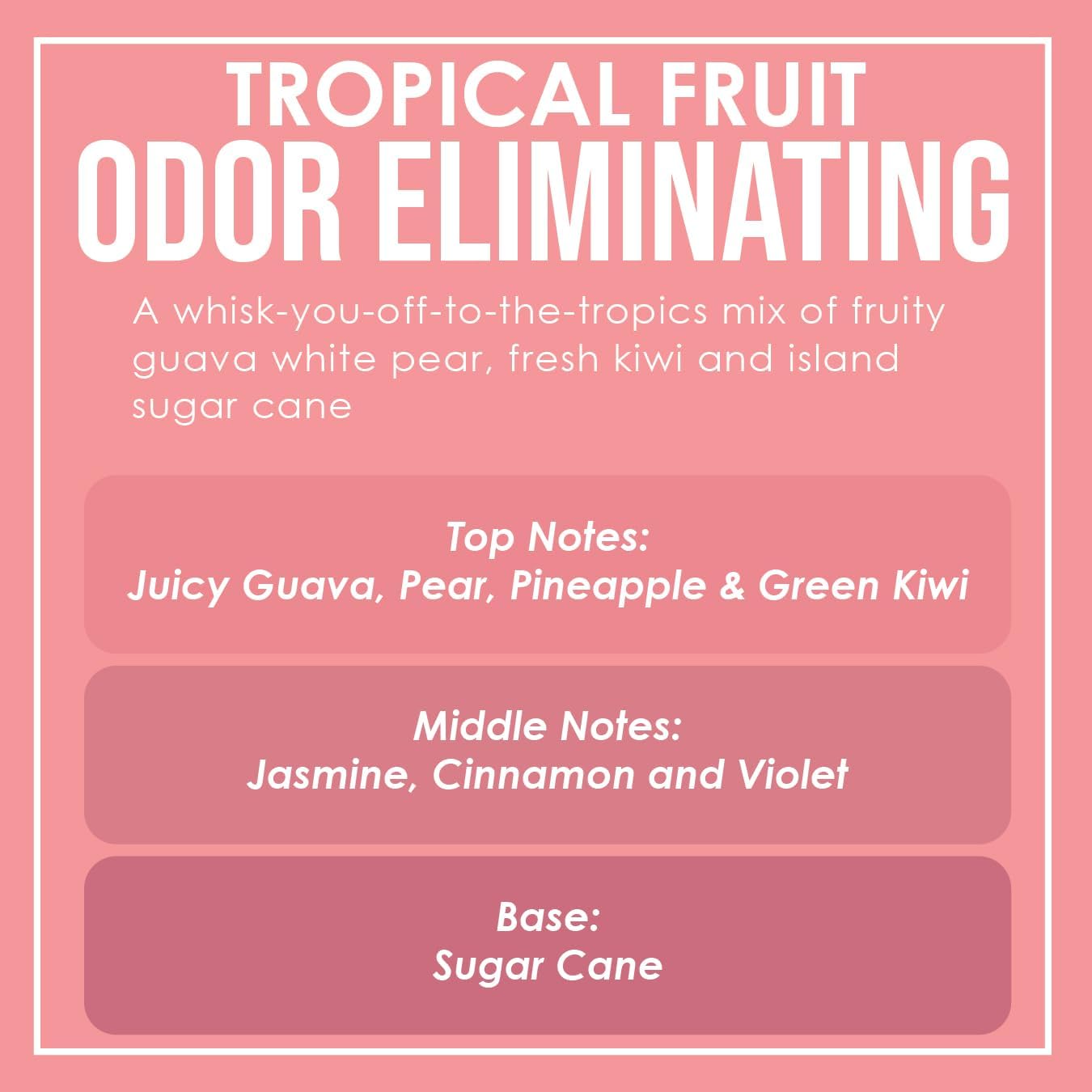 Vanilla Bean Odor Eliminating Highly Fragranced Candle - Eliminates 95% of Pet, Smoke, Food, and Other Smells Quickly - Up to 80 Hour Burn time - 12 Ounce Premium Soy Blend - Colors B