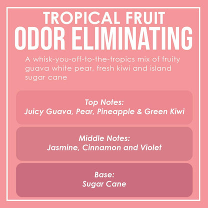 Vanilla Bean Odor Eliminating Highly Fragranced Candle - Eliminates 95% of Pet, Smoke, Food, and Other Smells Quickly - Up to 80 Hour Burn time - 12 Ounce Premium Soy Blend - Colors B