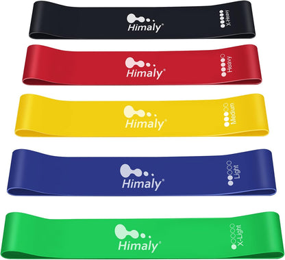 Resistance Bands Set, Himaly Exercise Bands Strength Training Fitness Bands Workout Elastic Bands with Legs Ankle Straps, Door Anchor, Handles & Carry Bag for Home Outdoor Workouts
