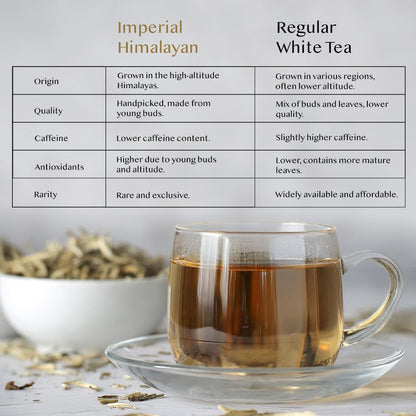VAHDAM Imperial White Tea Leaves (1.76oz|25+ cups) Grown in Himalayas
