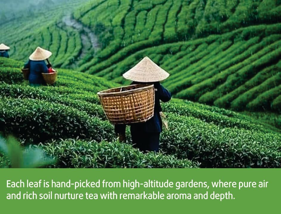 Natural Oolong Tea Bags - 100% Premium Whole Leaf Honey Aroma Cortisol Tea