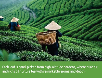 Natural Oolong Tea Bags - 100% Premium Whole Leaf Honey Aroma Cortisol Tea