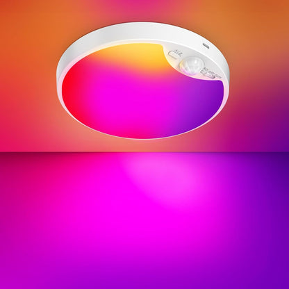 Rechargeable Motion Sensor Ceiling Light, Battery Operated Closet Light