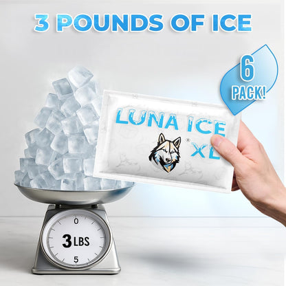 Dry Ice Packs for Shipping - Long Lasting ice Packs - 24+ Hour Freeze Power - BPA Free - 12 Pack Bulk 3 lb – Hielo Seco - Reusable Gel Bricks for Food