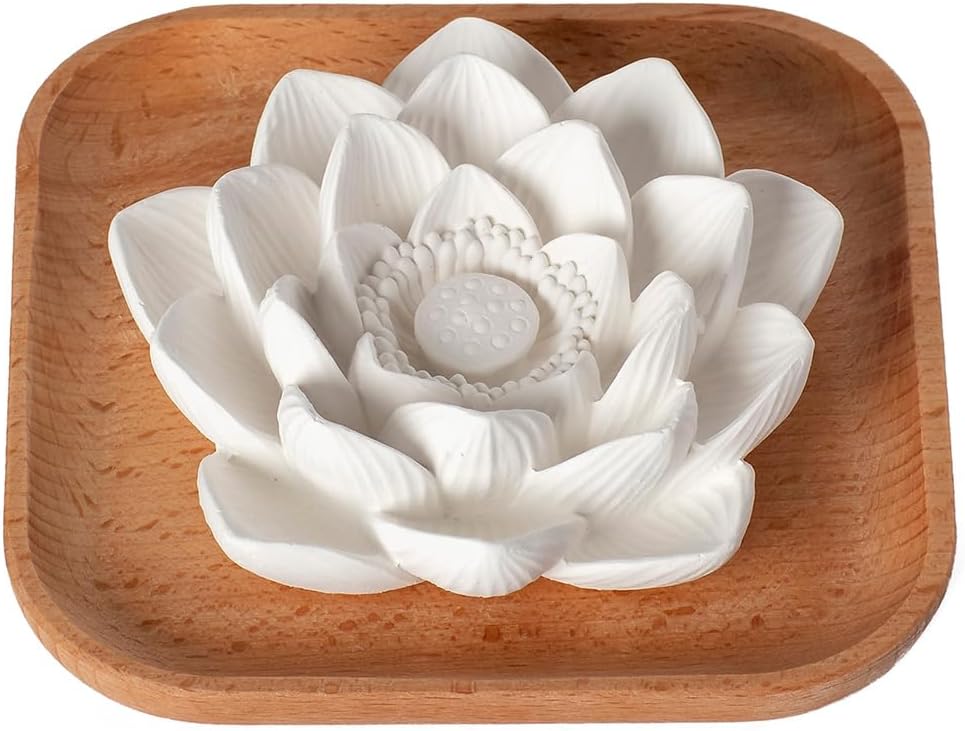 Plant Therapy Lava Rock Passive Diffuser for Essential Oils Great for Decorating at Home, Office or Car, and Gift-Giving