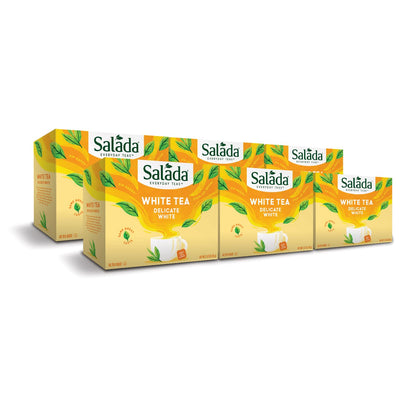 Salada White Tea Delicate White Tea with 40 Individually Wrapped Tea Bags Per Box (Pack of 6) Contains Caffeine Brew Hot Naturally Flavored