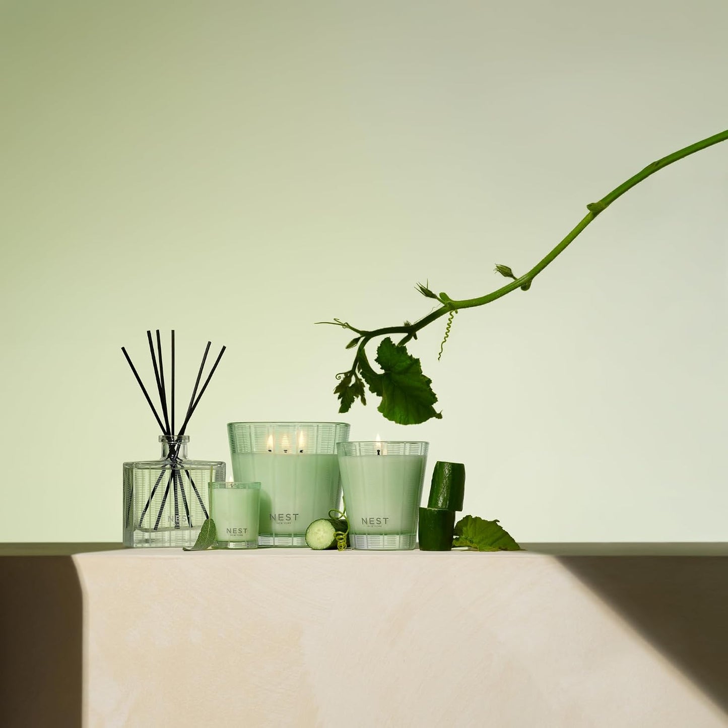 NEST New York Reed Diffuser, Wild Mint & Eucalyptus - 5.9 fl oz - Fragrance for Up to 90 Days - Reusable, Refillable Glass Holder - Includes 8 All-Natural Reed Sticks - Flame Free