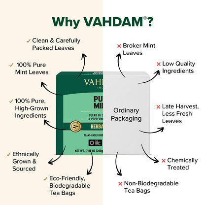 VAHDAM, Pure Mint Herbal Tea (100 Pyramid Tea Bags) Caffeine Free, Non GMO, Gluten Free | Blend of Spearmint & Peppermint - Sweet & Minty | Resealable Ziplock Pouch