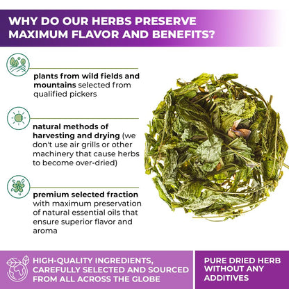 20 Bags Goat's Rue Tea Goats Rue Herb (Galega Officinalis L.) - 20 Count 1.5g Tea Bags French Lilac Ruda De Cabra