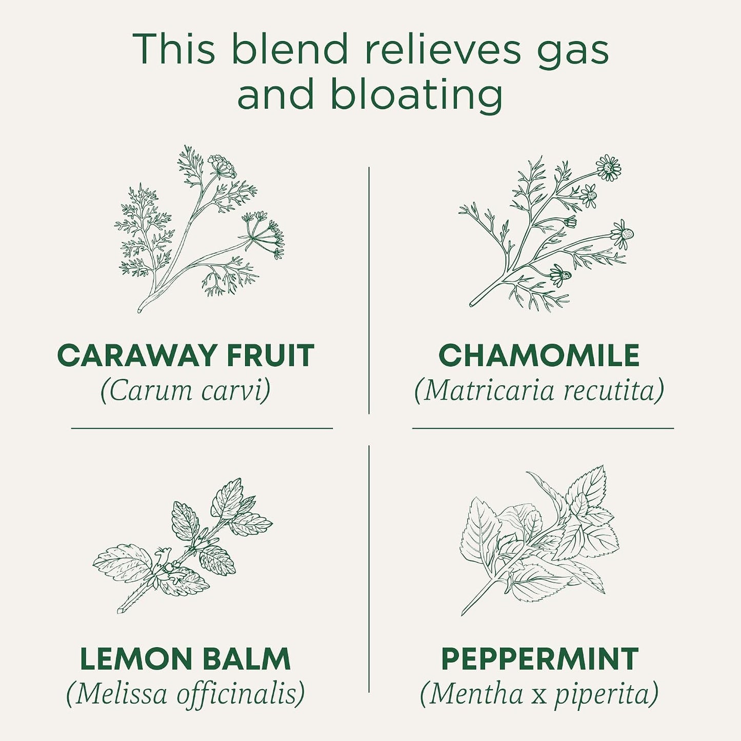 Traditional Medicinals Tea, Organic Triple Mint - Supports Healthy Digestion - Kosher, Non-GMO, Caffeine-Free - 16 Tea Bags
