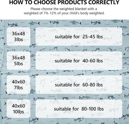 L'AGRATY Weighted Lap Pad 7lb: Small Weighted Blanket for Adults - Cooling Portable Travel Blanket for Relaxation Sleeping - Washable All-Season (29" x 24")