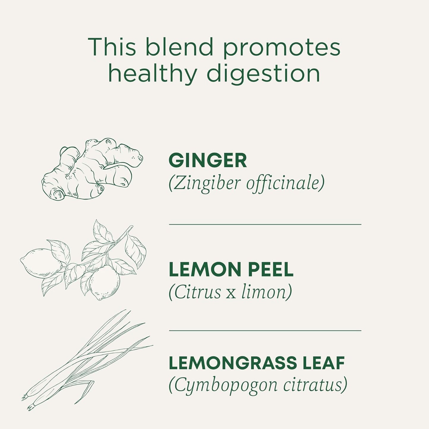 Traditional Medicinals Tea, Organic Triple Mint - Supports Healthy Digestion - Kosher, Non-GMO, Caffeine-Free - 16 Tea Bags