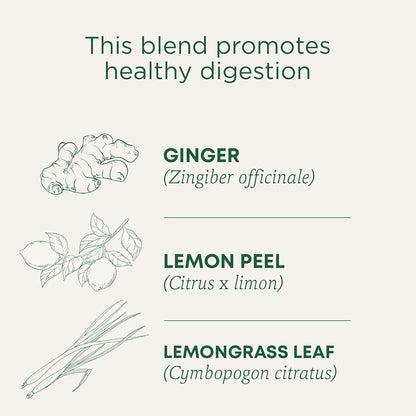 Traditional Medicinals Tea, Organic Triple Mint - Supports Healthy Digestion - Kosher, Non-GMO, Caffeine-Free - 16 Tea Bags