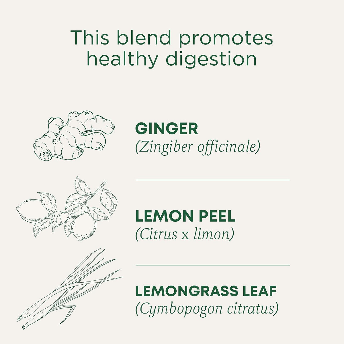 Traditional Medicinals Organic Lemon Ginger Tea, 1.13 Oz, 16 Count (Pack of 2)
