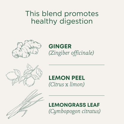 Traditional Medicinals Organic Lemon Ginger Tea, 1.13 Oz, 16 Count (Pack of 2)