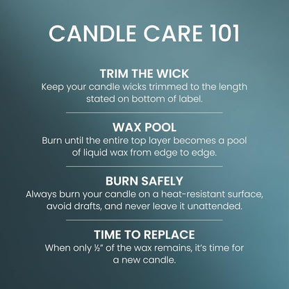 Yankee Candle Sage & Citrus, Scented Candle, 14.5oz 3-Wick Candle Jar with up to 40 Hours Burn Time, Giftable