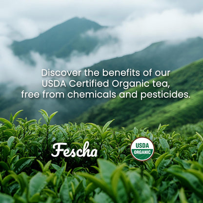 Fescha Organic Jasmine Green Tea Bags, Flower-scented Tea (50-count), Eco-Conscious Tea Bags, Packed by Resealable Kraft Bag