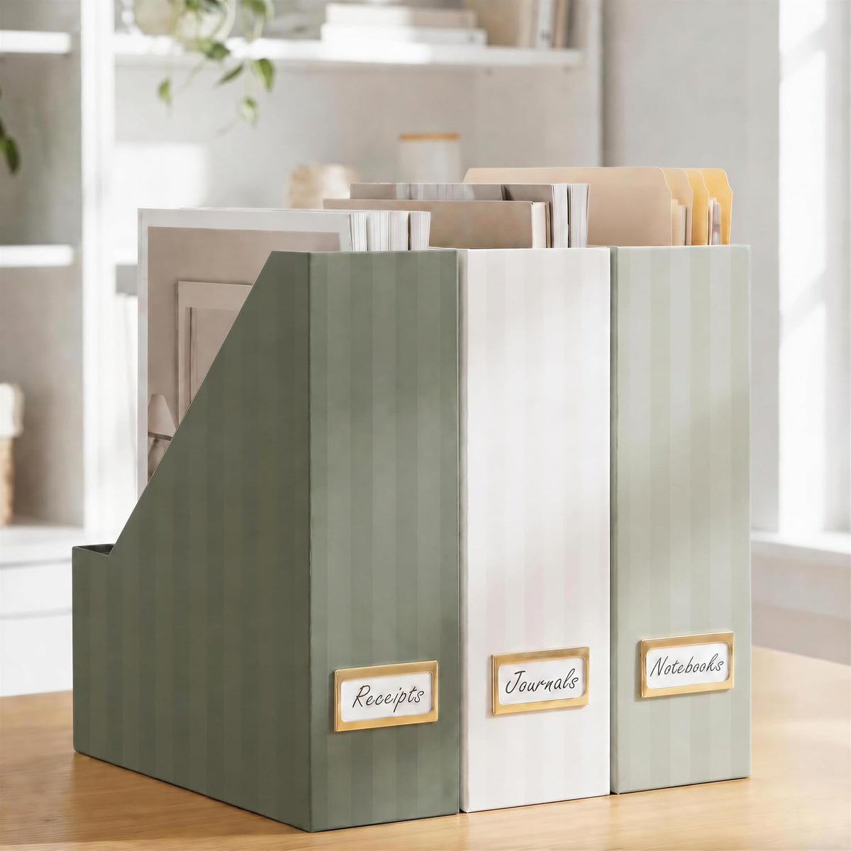 Beautiful Magazine Holder Set of 3 - Sturdy File Holder for Desk or Shelves