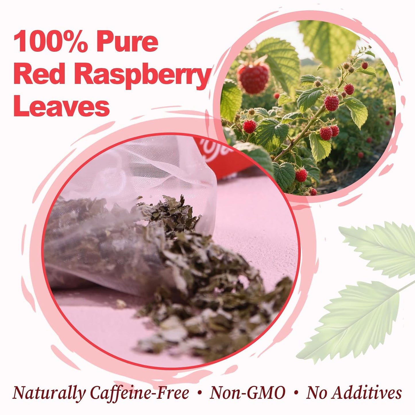 FullChea - Dandelion Leaf & Root Tea Bags, 50 Teabags, 2g/bag - Natural Dandelion Herbal Tea for Liver & Kidney Health - Non-GMO - Caffeine-free - Support Digestion & Boost Immune System