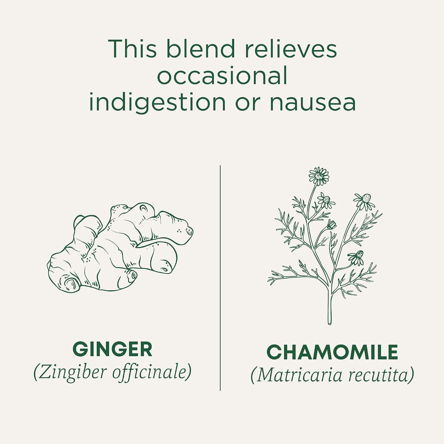 Traditional Medicinals Tea, Organic Peppermint, Soothes Your Belly, Refreshing & Minty, 96 Tea Bags (6 Pack)