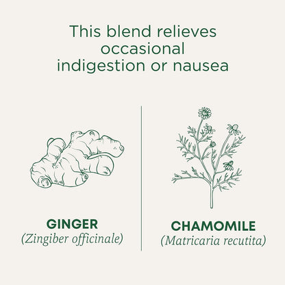 Traditional Medicinals Tea, Organic Peppermint, Soothes Your Belly, Refreshing & Minty, 96 Tea Bags (6 Pack)