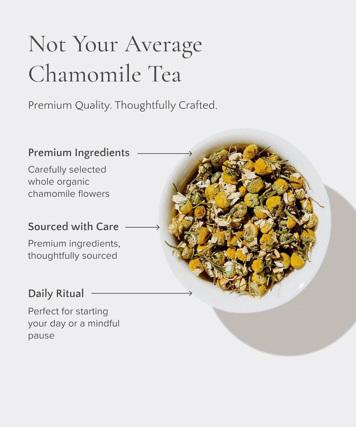 Art of Tea Organic French Lemon Ginger 1.5oz Loose Leaf Tea Tin, Caffeine Free Herbal Tea, Organic Rooibos & Lemongrass Ginger Tea, Premium Loose Leaf Herbal Tea for Relaxation & Digestion