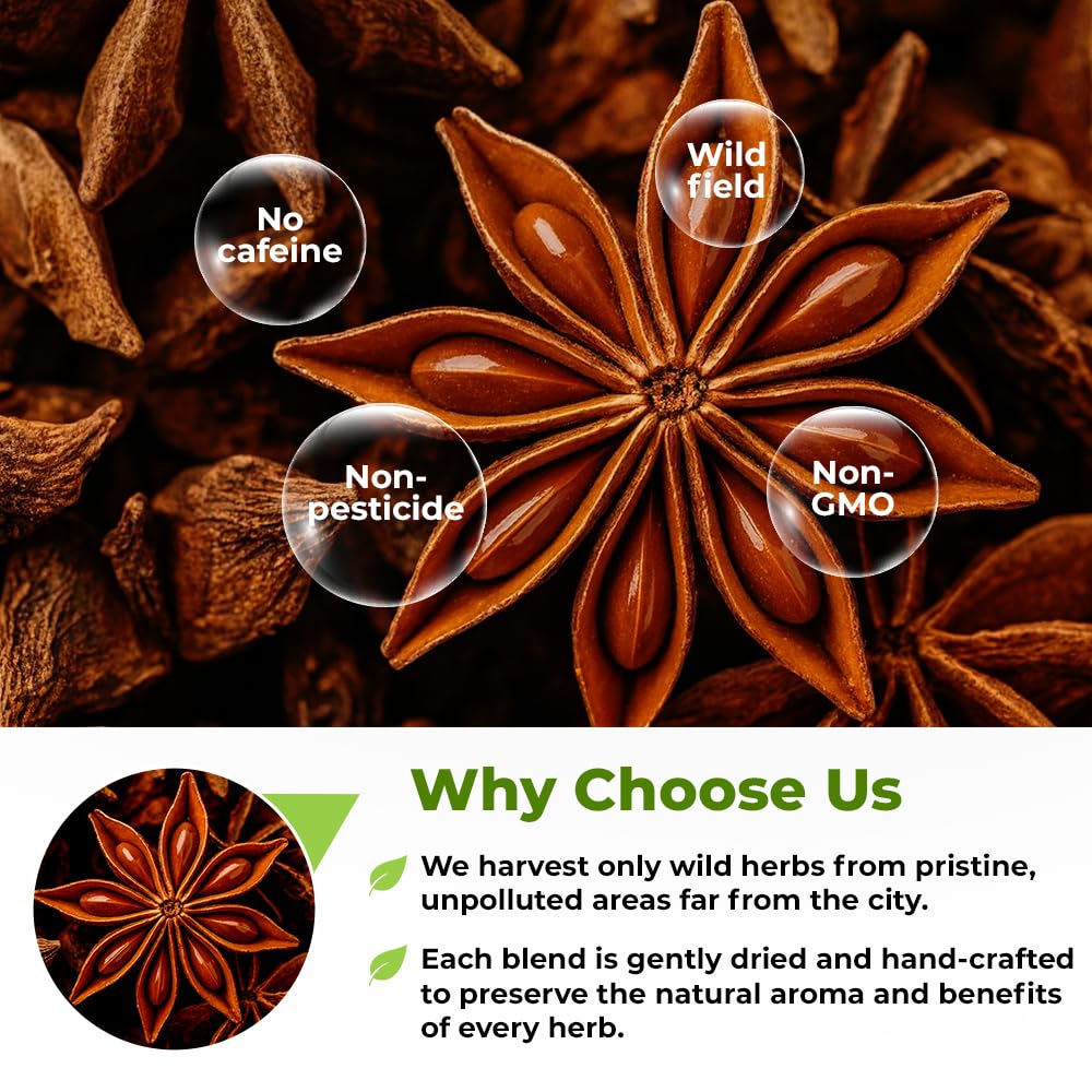 50 Bags Dried Anise Seeds Anaise Seeds Herb Tea (Pimpinella Anisum) - 50 Count 1,5 g Bags Anise Seed Herbal Tea Semilass De Anis