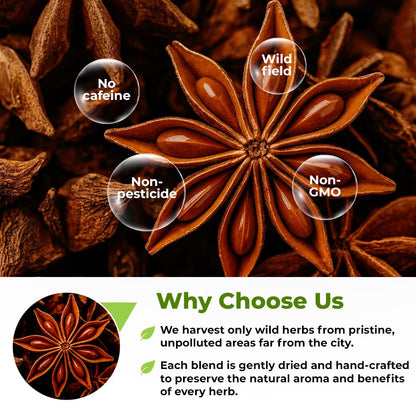 50 Bags Dried Anise Seeds Anaise Seeds Herb Tea (Pimpinella Anisum) - 50 Count 1,5 g Bags Anise Seed Herbal Tea Semilass De Anis