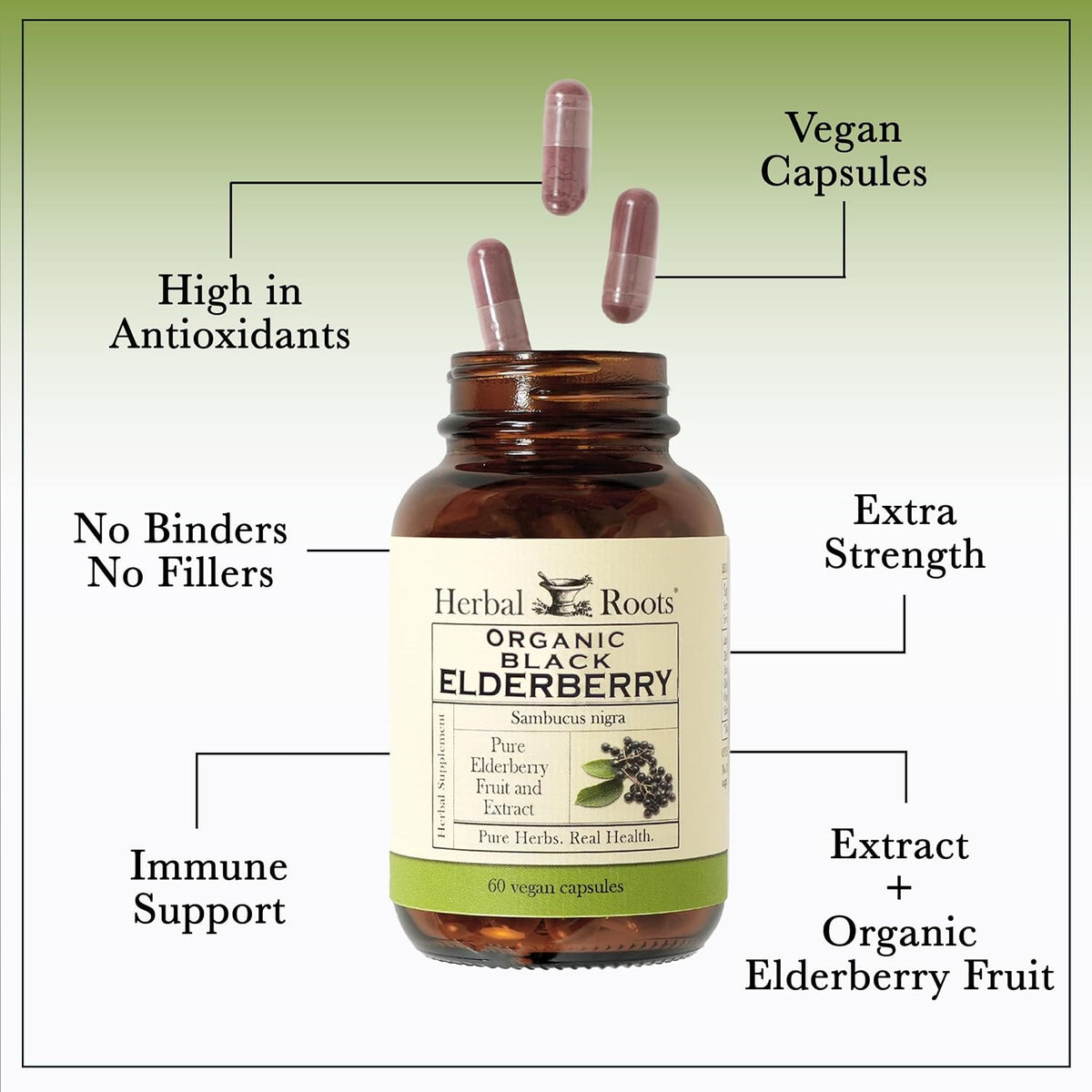 Herbal Roots Organic Black Elderberry Capsules - Max Strength - USDA Certified Organic - Immune Support - 60 Vegan Capsules