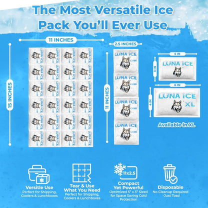 Dry Ice Packs for Shipping - Long Lasting ice Packs - 24+ Hour Freeze Power - BPA Free - 12 Pack Bulk 3 lb – Hielo Seco - Reusable Gel Bricks for Food