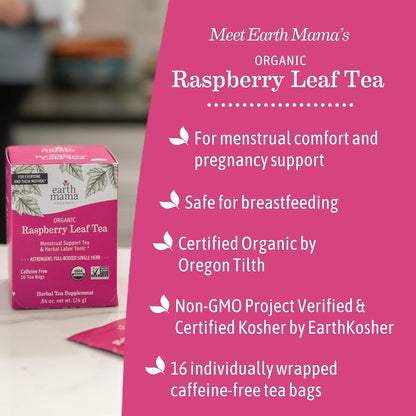 Earth Mama - Organic Raspberry Leaf Tea - 48 Teabags