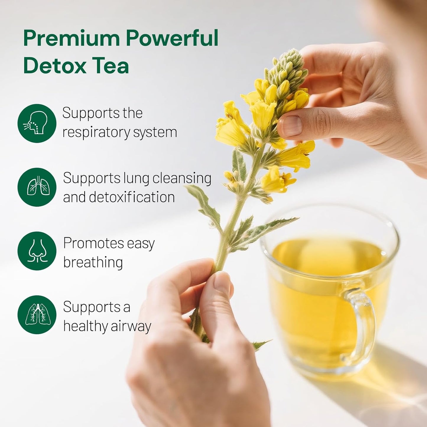 Peppermint Tea, 50 Tea Bags - Pure Peppermint Leaves, Caffeine Free Mint Herbal Tea Bags - Supports Healthy Digestion, Wellness & Refreshment (50 Counts, Pack of 1)