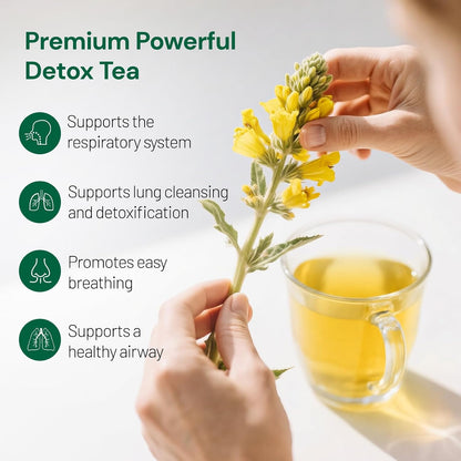 Peppermint Tea, 50 Tea Bags - Pure Peppermint Leaves, Caffeine Free Mint Herbal Tea Bags - Supports Healthy Digestion, Wellness & Refreshment (50 Counts, Pack of 1)
