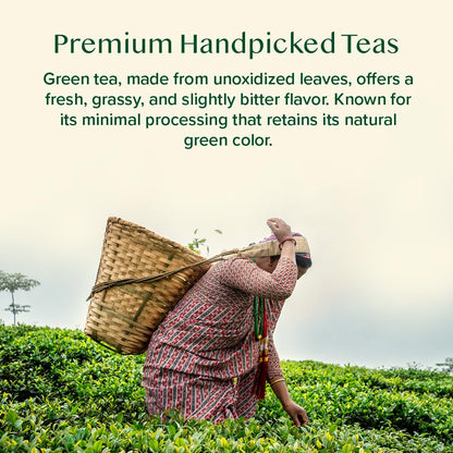 VAHDAM Assorted Green Tea Loose Leaf Tea Gift Set (10 Flavors) | Loose Leaf Green Tea Collection | Includes Himalayan Green Tea Varieties | Packed in Resealable Ziplock Pouches
