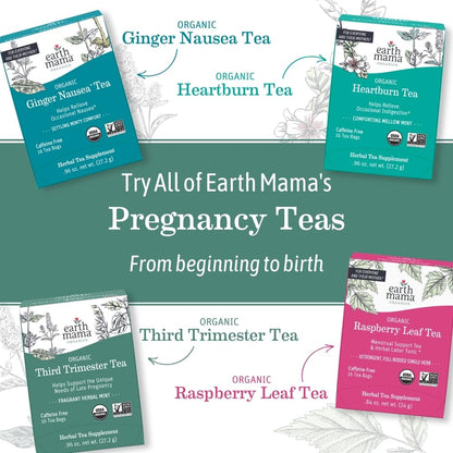 Earth Mama Organic Elderberry Immune Support Tea with Echinacea | Safe For Pregnancy, Breastfeeding, Postpartum, Kids and Family Essentials, Decaf Tea with Ginger & Rooibos, 16-Count (3-Pack)