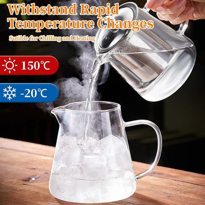 Glass Teapot with Stainless Steel Infuser, Borosilicate Tea Kettle, Clear Tea Maker for Loose Leaf Tea (550ML)