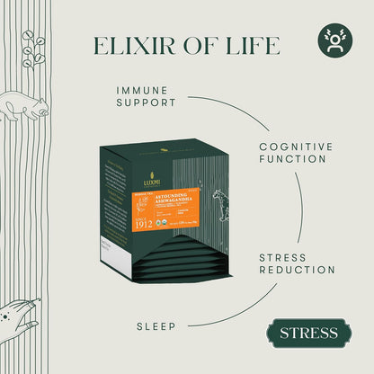 Luxmi Estates Ashwagandha Adaptogen Tea, 90 Biodegradable Tea Bags (Pack of 6 Boxes, 15 ct Each, 180g/6.35oz Total) | USDA Organic Blend with Ashwagandha, Turmeric, Ginger, Lemongrass, Licorice & Moringa, Caffeine-Free