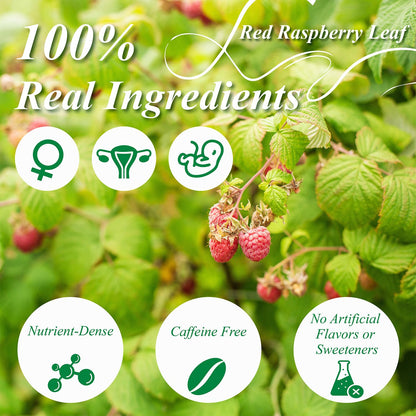 WT WEETEE Red Raspberry Leaf Tea Bags, 60 Count Corn Fibre, Caffeine-Free