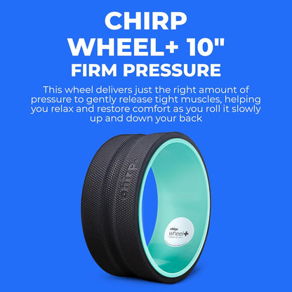 Chirp Wheel Foam Roller - Targeted Back & Neck Pain Relief, Muscle Massage, Trigger Point Therapy, High-Density Foam Tool for Physical Therapy, Stretching & Exercise, 500lbs Capacity, 12-Inch Mint